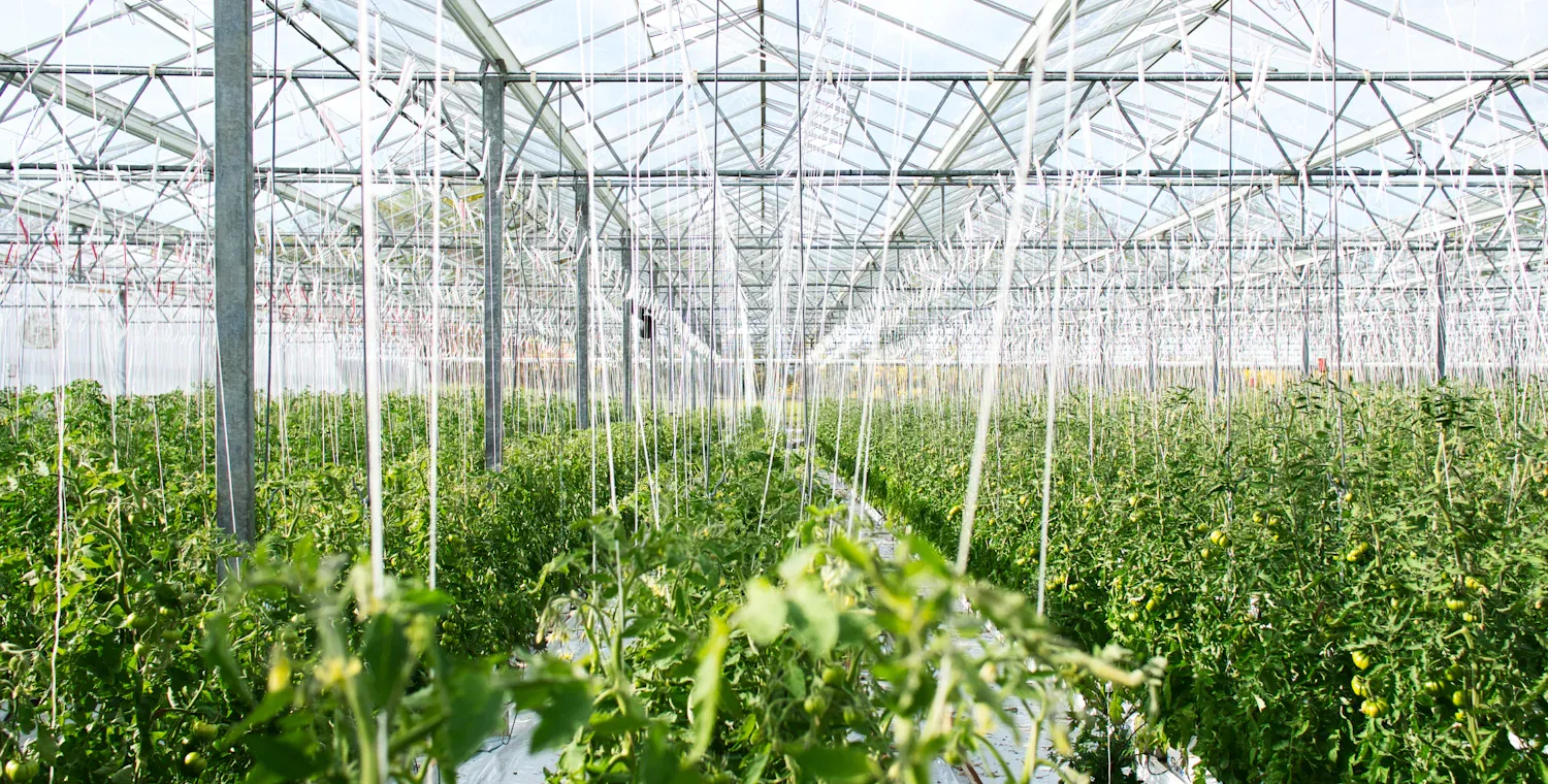 Horticulture & Agriculture Chillers